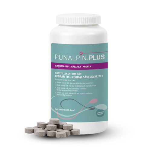 Punalpin® PLUS (540 comprimés) – Grenade, galanga, aronia, zinc, sélénium