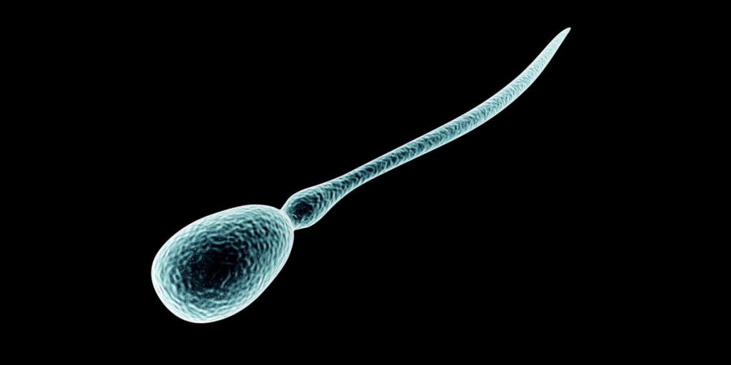 Guide des tests de fertilité masculine à domicile : lequel choisir ?
